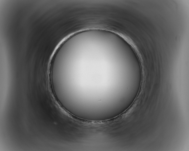 X0000085310912200703091051