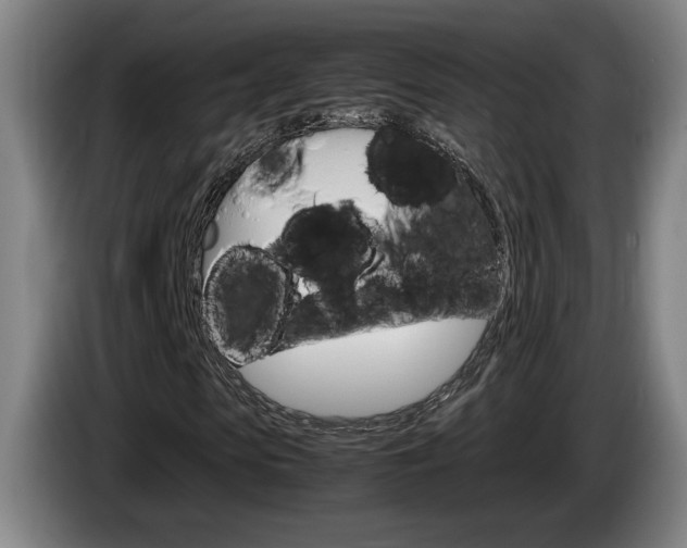 X0000085310913200703091051