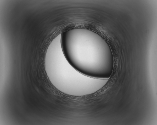 X0000085310916200703091051