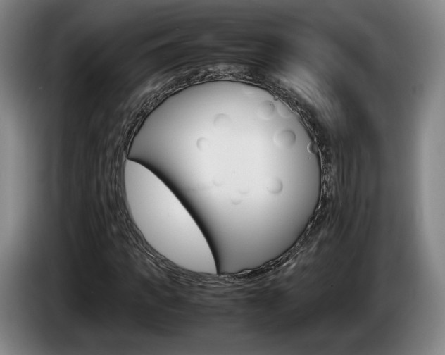 X0000085310917200703091051