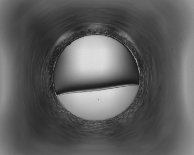 X0000085310919200703091051