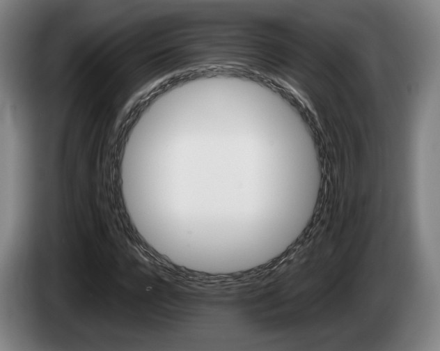 X0000085310920200703091051