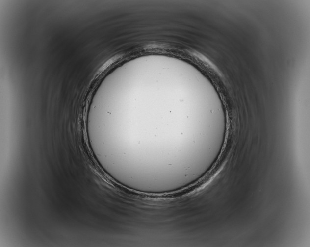 X0000085310921200703091051