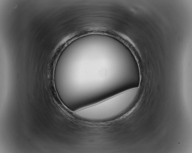 X0000085310922200703091051