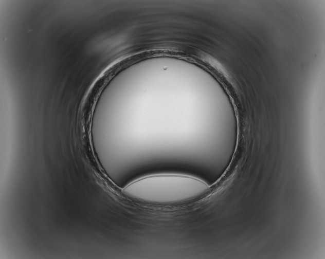 X0000085310923200703091051