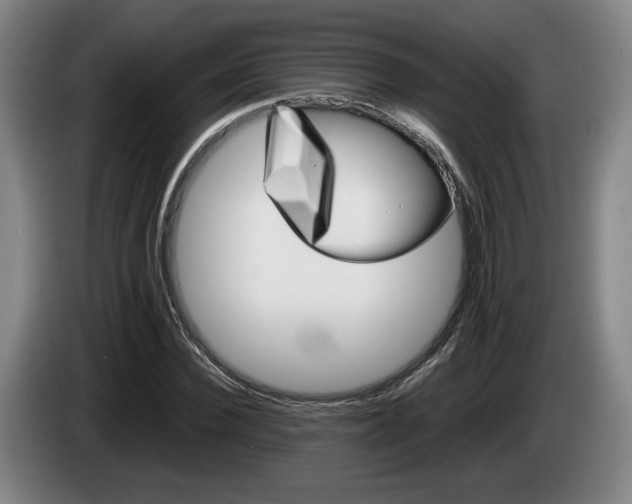 X0000085310924200703091051