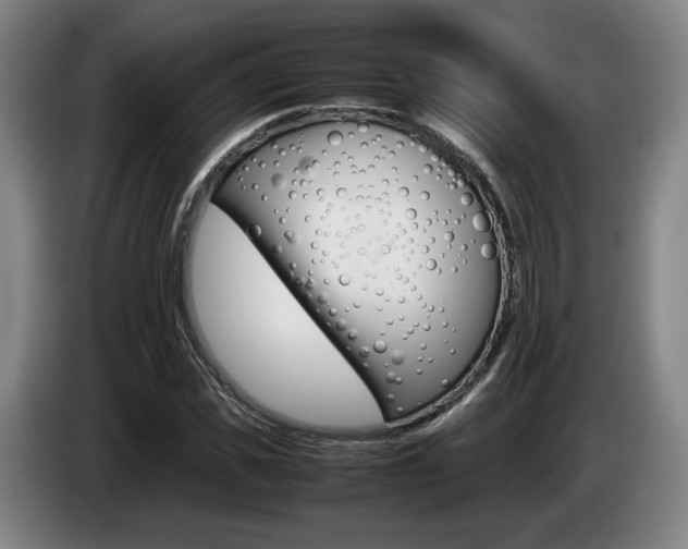 X0000085310925200703091051