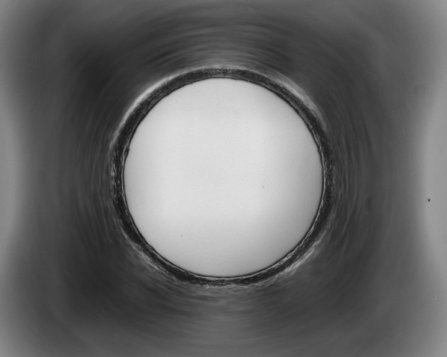 X0000085310926200703091051