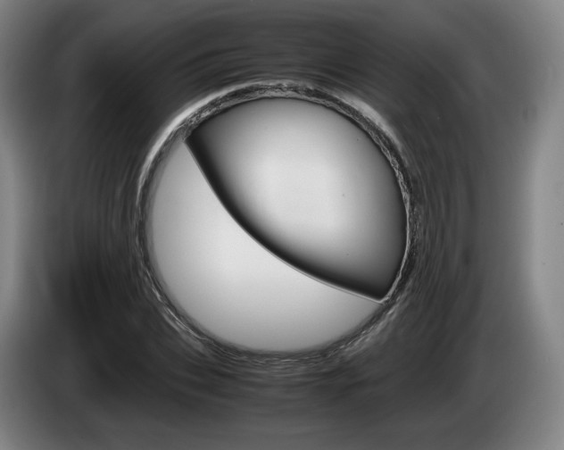 X0000085310927200703091051