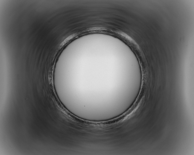 X0000085310929200703091051