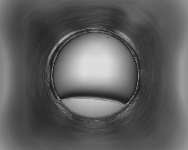 X0000085310931200703091051