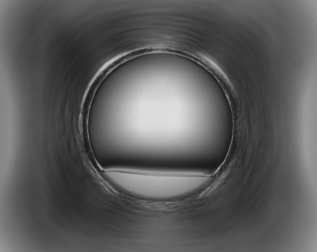 X0000085310932200703091051