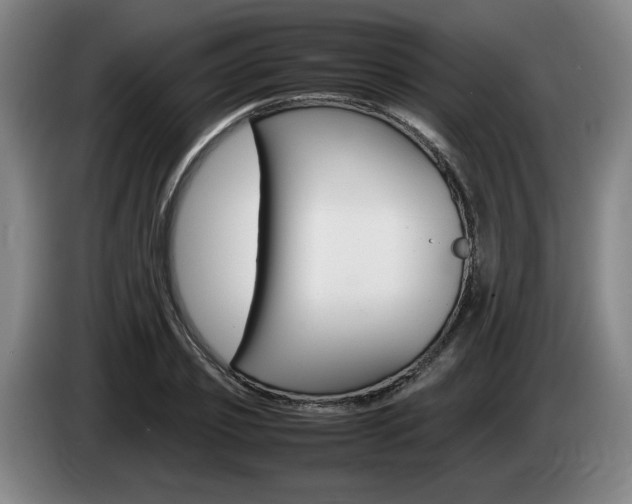 X0000085310933200703091051