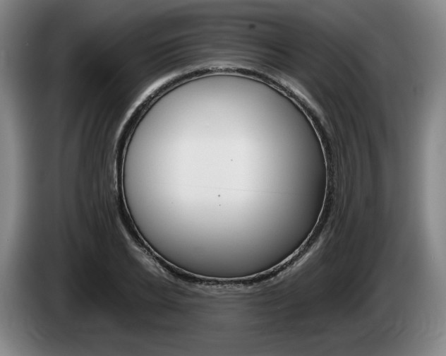 X0000085310934200703091051