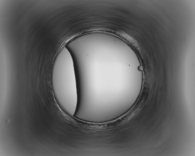 X0000085310937200703091051