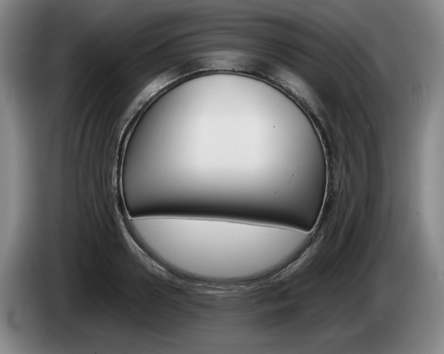 X0000085310938200703091051