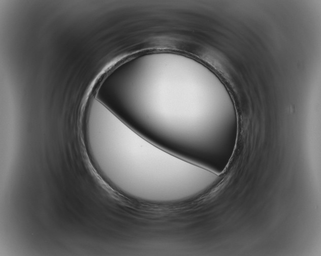 X0000085310939200703091051