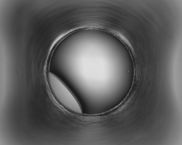 X0000085310944200703091051