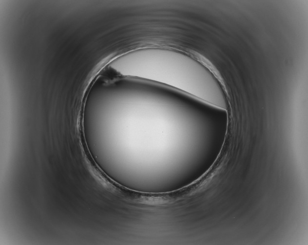 X0000085310946200703091051