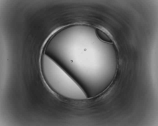 X0000085310947200703091051