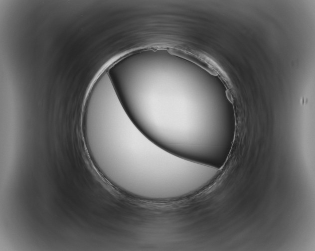 X0000085310948200703091051