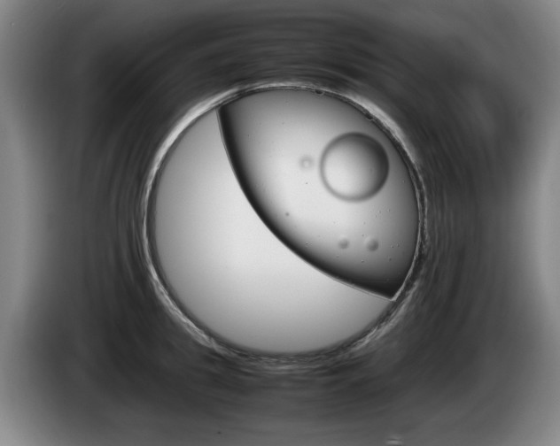 X0000085310949200703091051