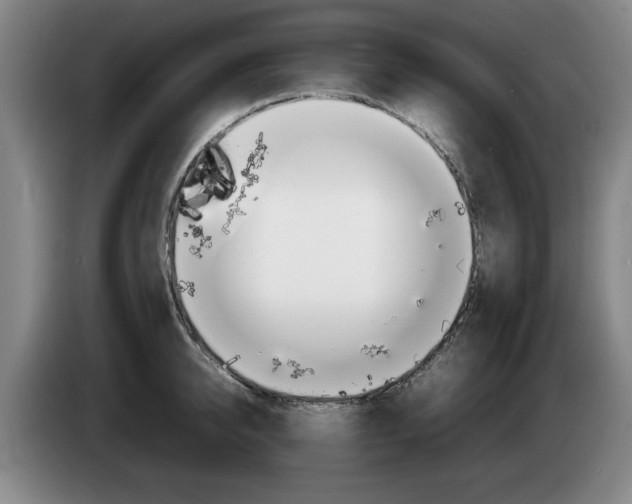 X0000085310950200703091051