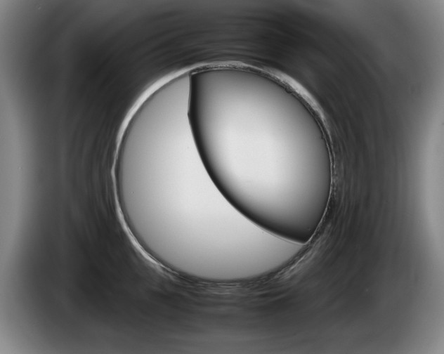 X0000085310951200703091051