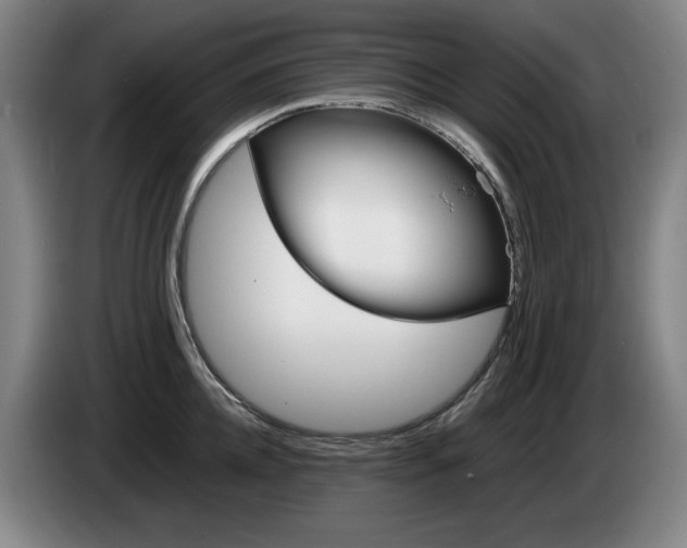 X0000085310952200703091051