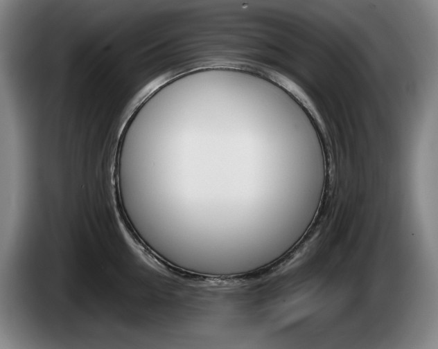 X0000085310954200703091051