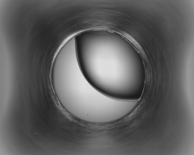 X0000085310956200703091051