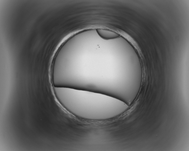 X0000085310958200703091051