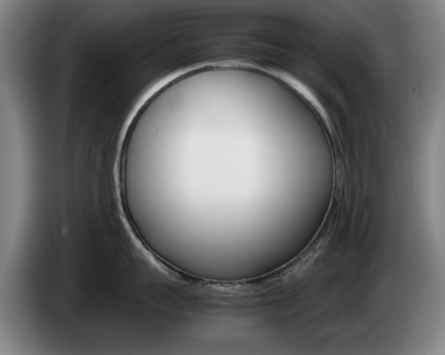 X0000085310959200703091051
