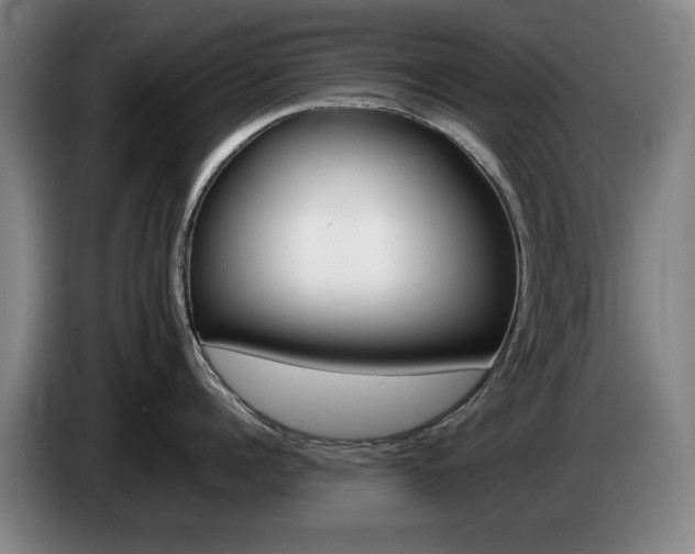 X0000085310960200703091051