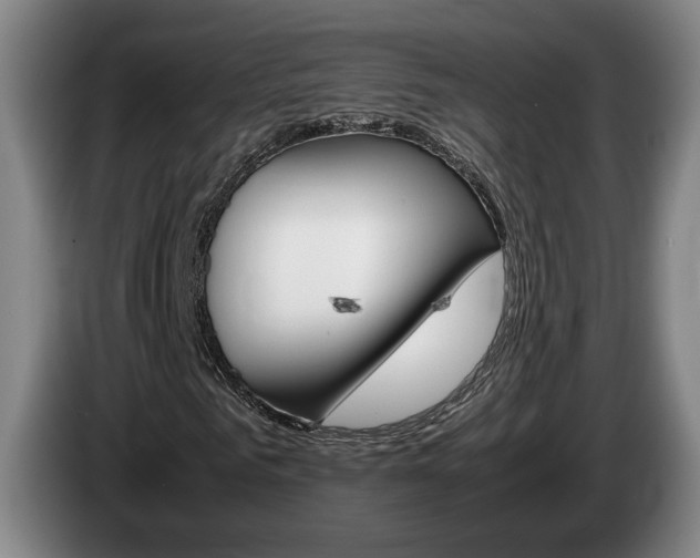 X0000085310961200703091051