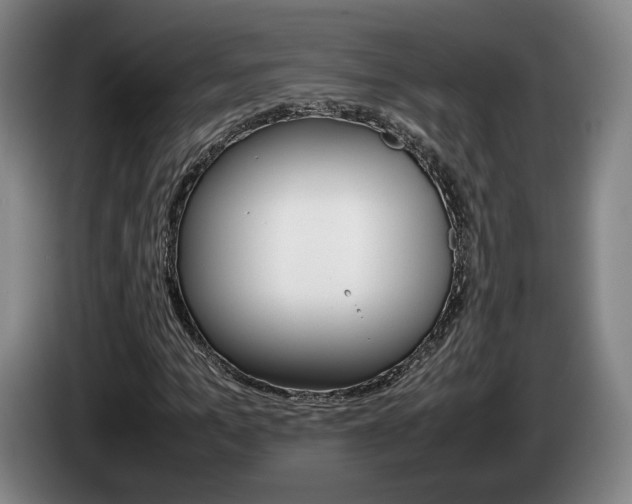 X0000085310965200703091051