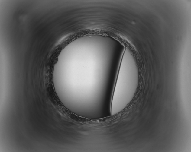 X0000085310968200703091051