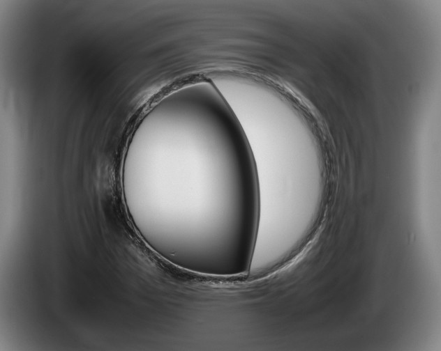 X0000085310969200703091051