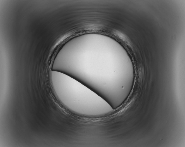 X0000085310970200703091051