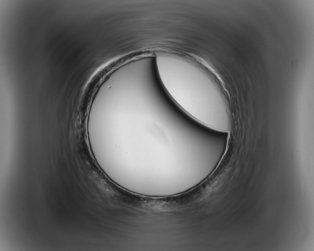 X0000085310971200703091051