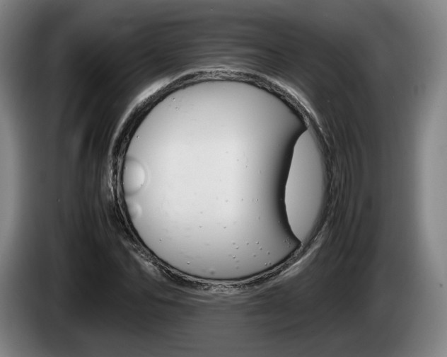 X0000085310974200703091050