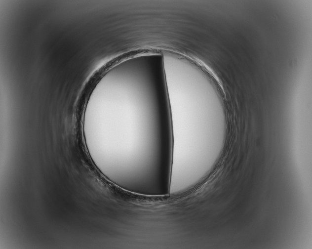 X0000085310975200703091050