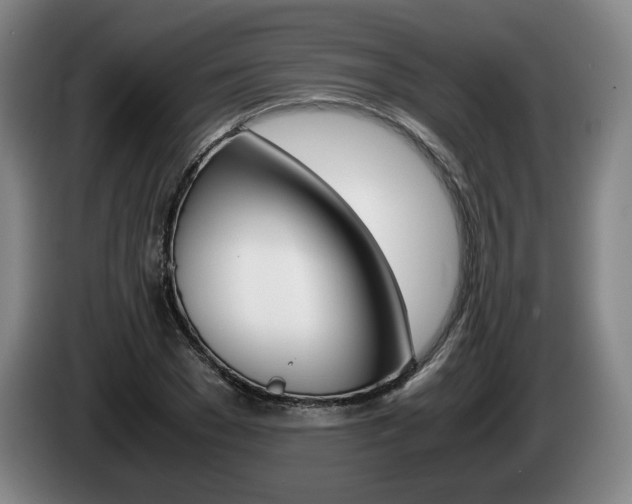 X0000085310977200703091050