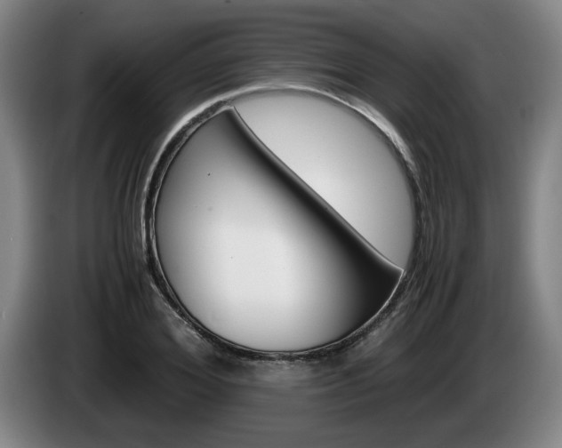 X0000085310980200703091050