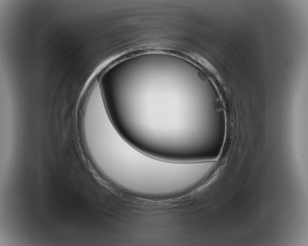 X0000085310981200703091050