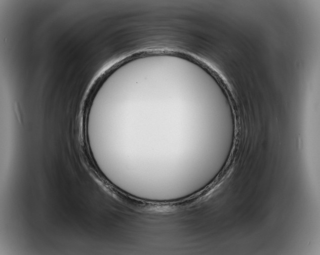 X0000085310982200703091050