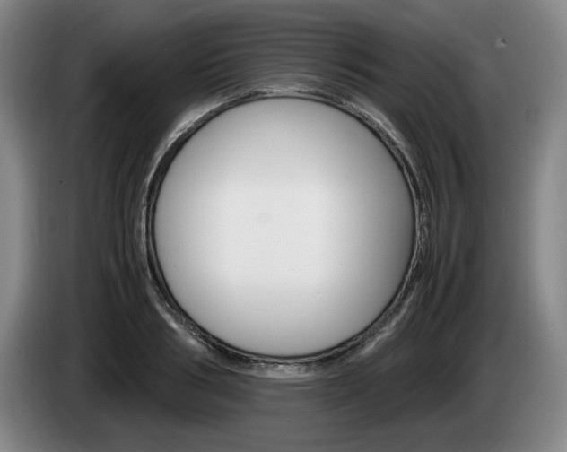 X0000085310986200703091050