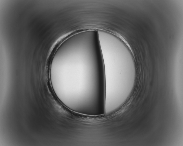 X0000085310987200703091050