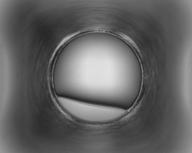 X0000085310989200703091050