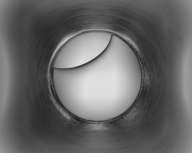 X0000085310990200703091050